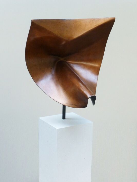 Tête de Renard